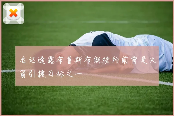 名记透露布鲁斯布朗续约前曾是火箭引援目标之一